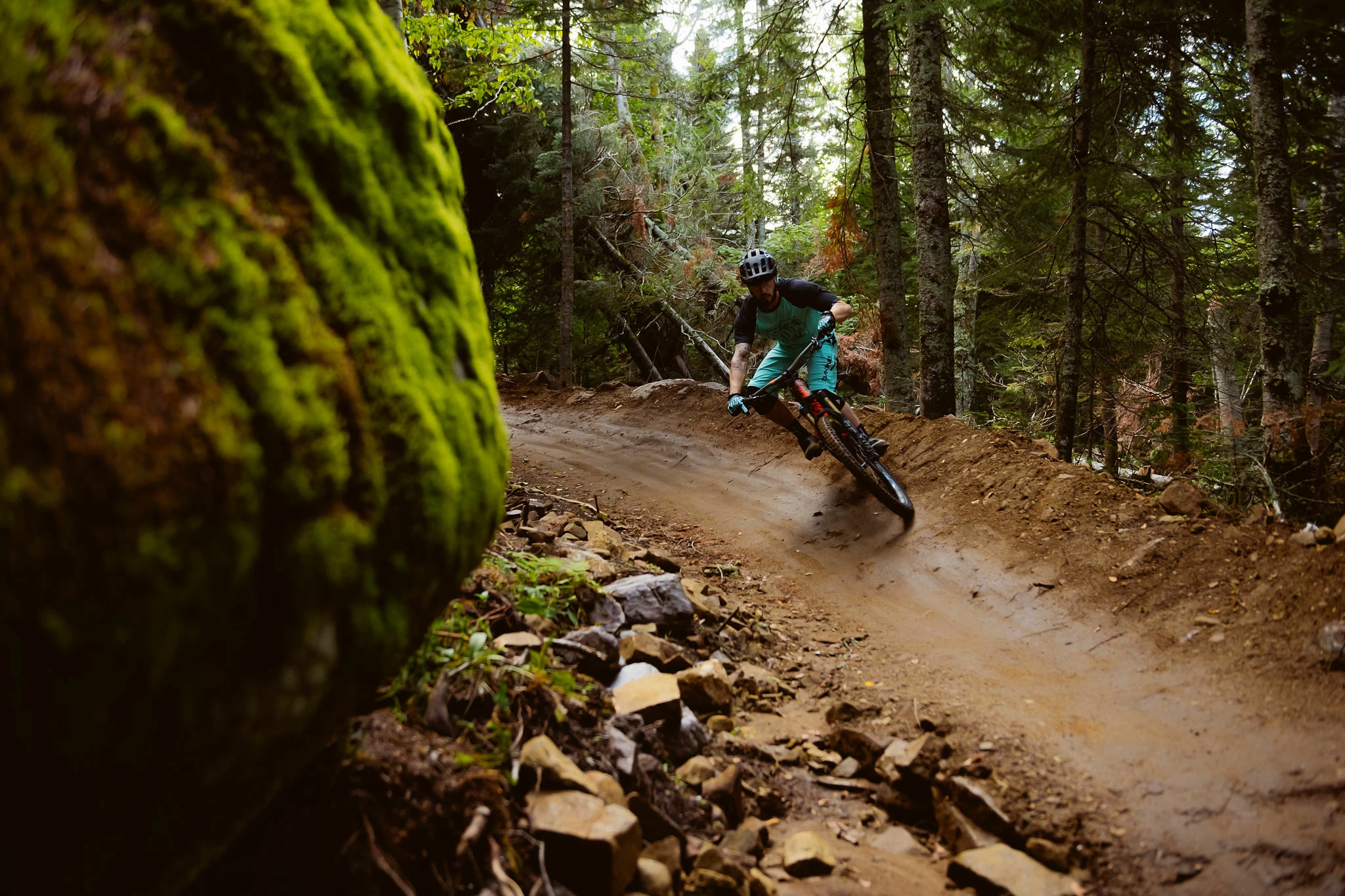 Bike Sale Soldes -Bike Sale Soldes 301589465 10160402552152867 1220810133873780506 n